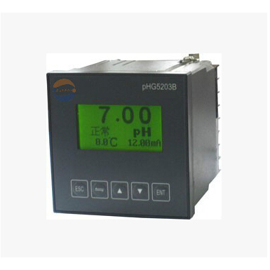 中文在線PH計,在線PH計,pHG5203B-S